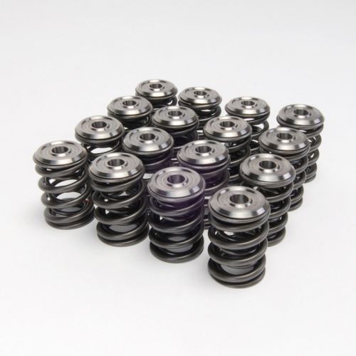 Skunk2 BSeries VTEC Alpha Valve Springs and Titanium Retainers K